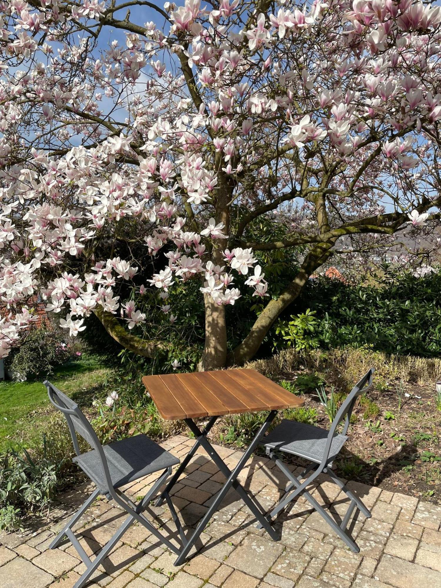 Hannoversch Münden Ferienhaus Chalet Andante מראה חיצוני תמונה